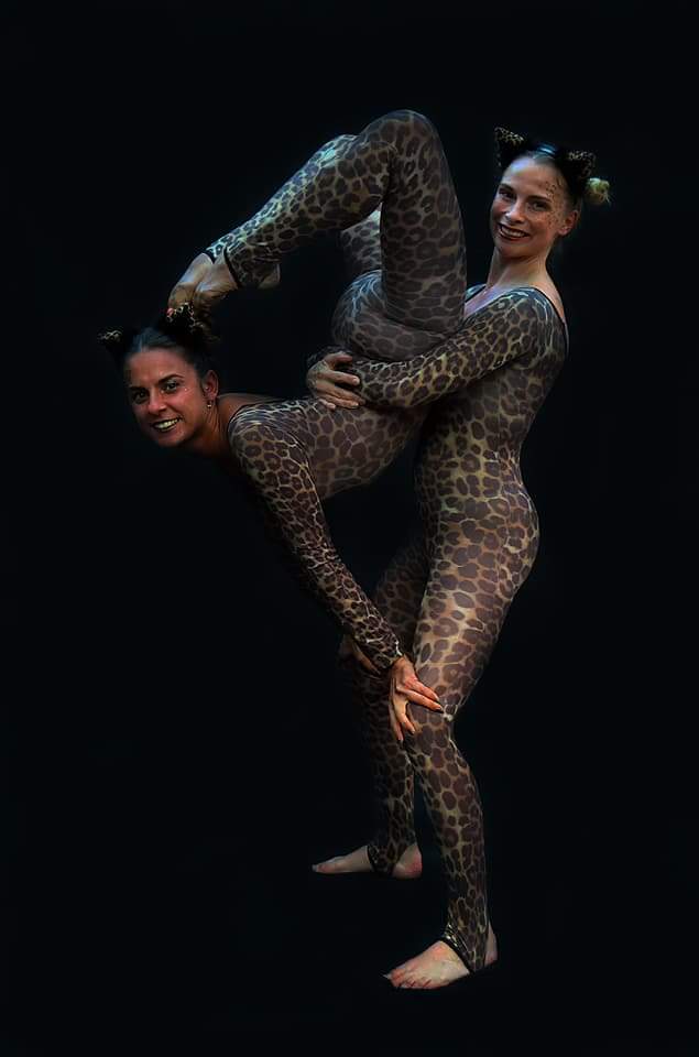 Circus Leopards